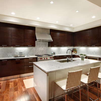 Photograph of a kitchen in the Austonian building.